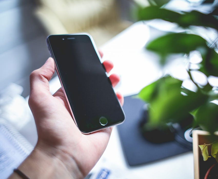 Gathered planes cook dare