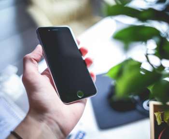 Williams instrument pack ratio